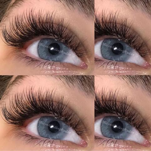 VolumeLash1 Volume Lashes